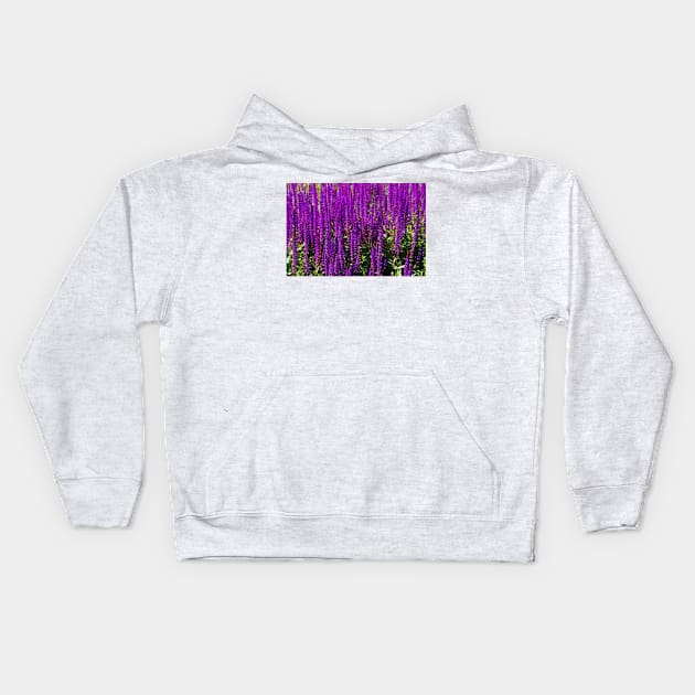 Purple loosestrife Kids Hoodie by thadz